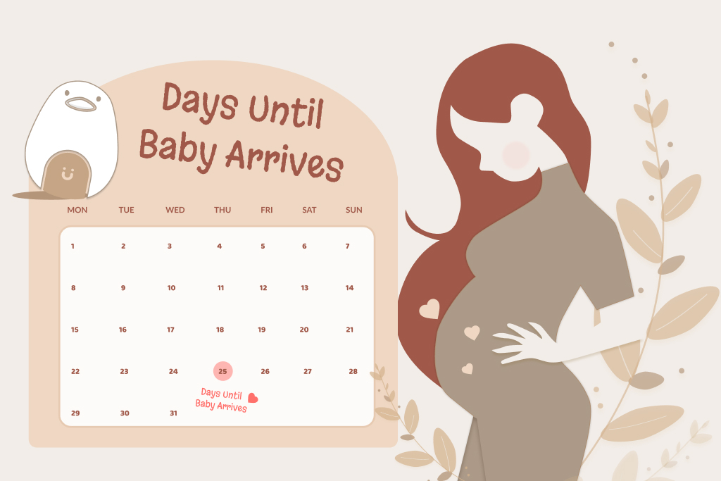 pregnancy calendar first trimester