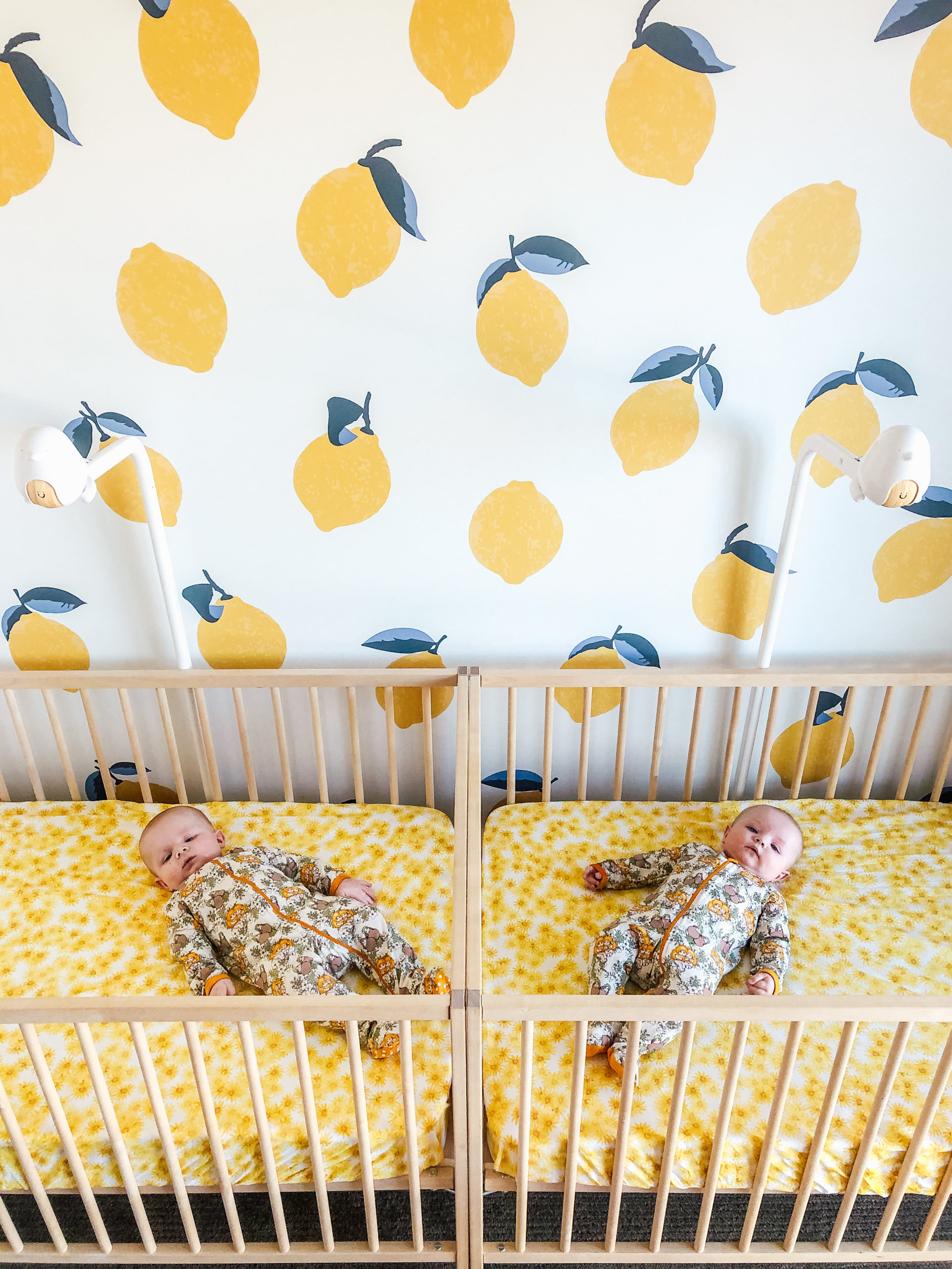 Are Safe? What You Should Know Cubo Ai